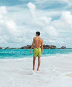 Sea'sons Liquid Lines Swimshort Green-Yellow