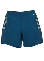 Wavebreaker Swim Shorts Blue Stripe