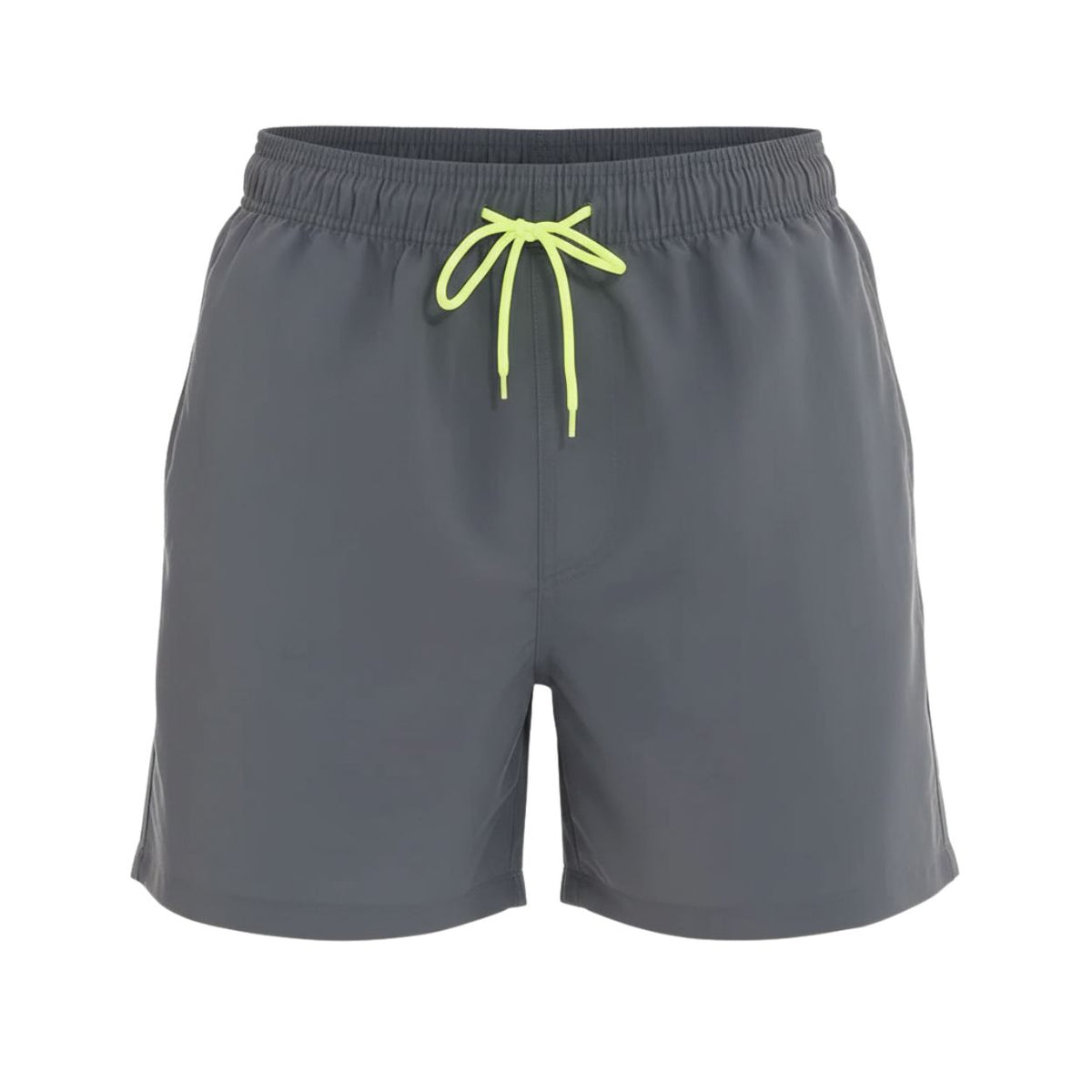 Newport Swim Shorts Grey