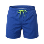 Newport Swim Shorts True Blue