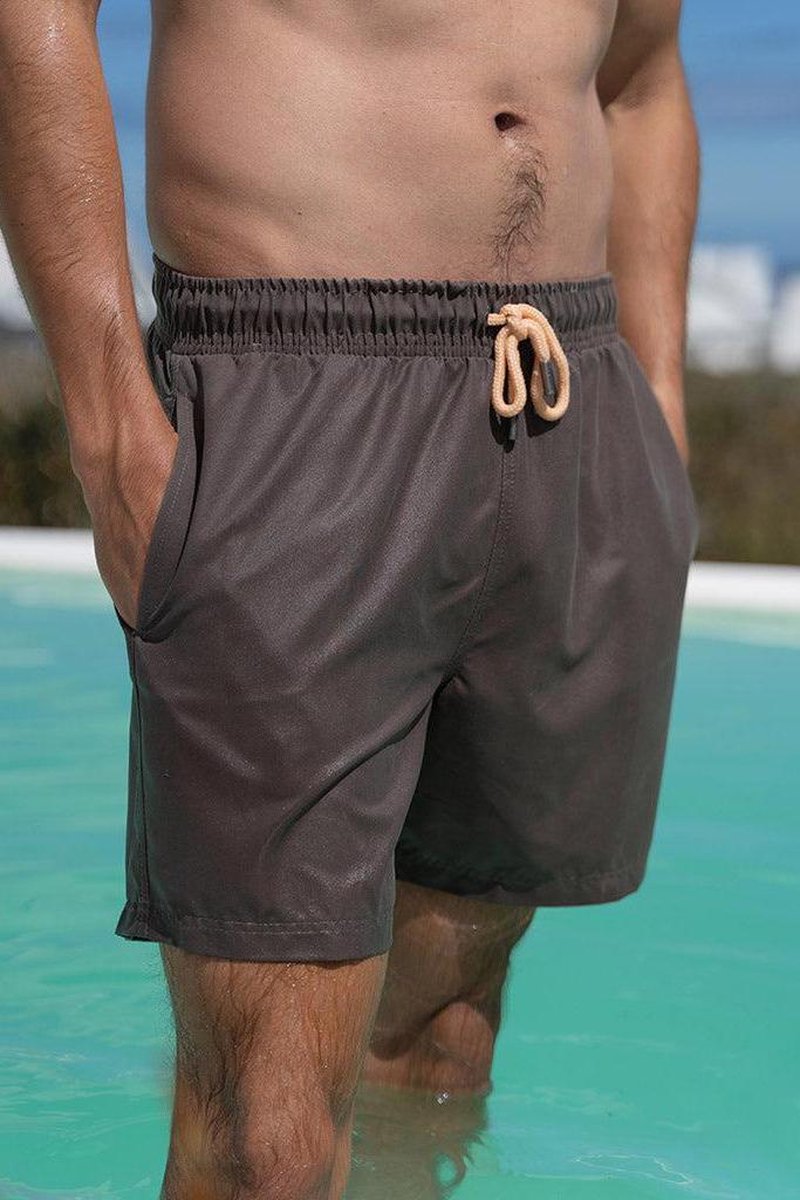 Sea'sons Main Swimshort Grey Coral