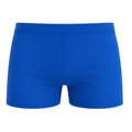 Swim Boxer Palma Blue